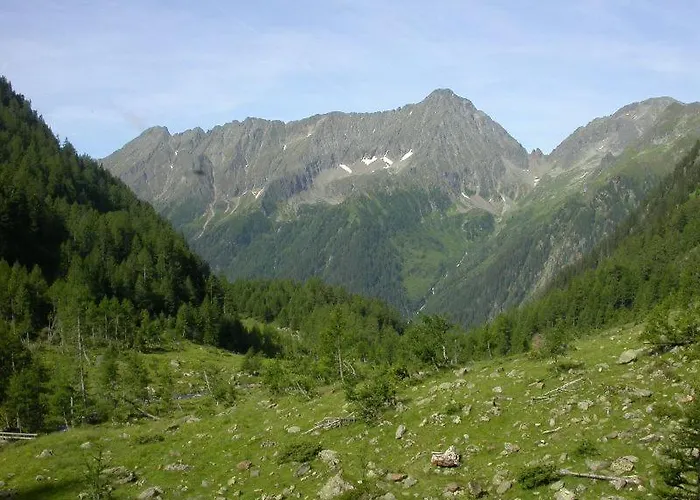 Boahof